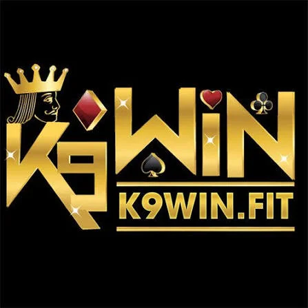 K9win icon